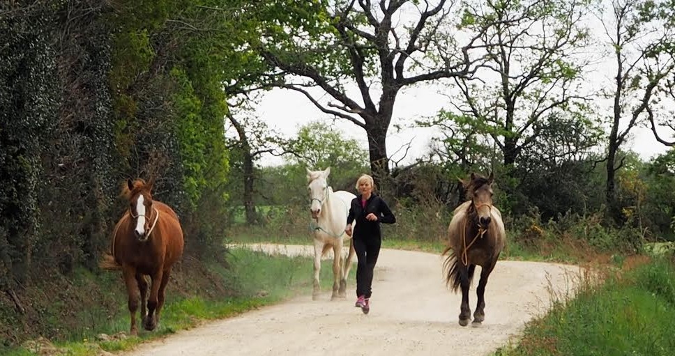 COURIR..